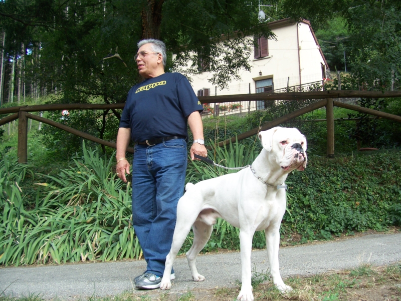  Image name: Calcio51.jpg 
 width: 800 pixel 
 height: 601 pixel 
 Size: 496563 bytes 
 Click to enlarge 